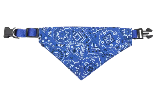 Halsband mit Halstuch für Hunde – verstellbar