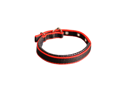 Hündli Halsband – gepolstertes Nylon