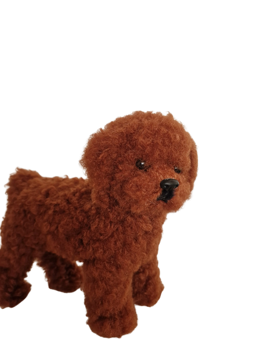 Hündli Pudel – dein kuscheliger Freund