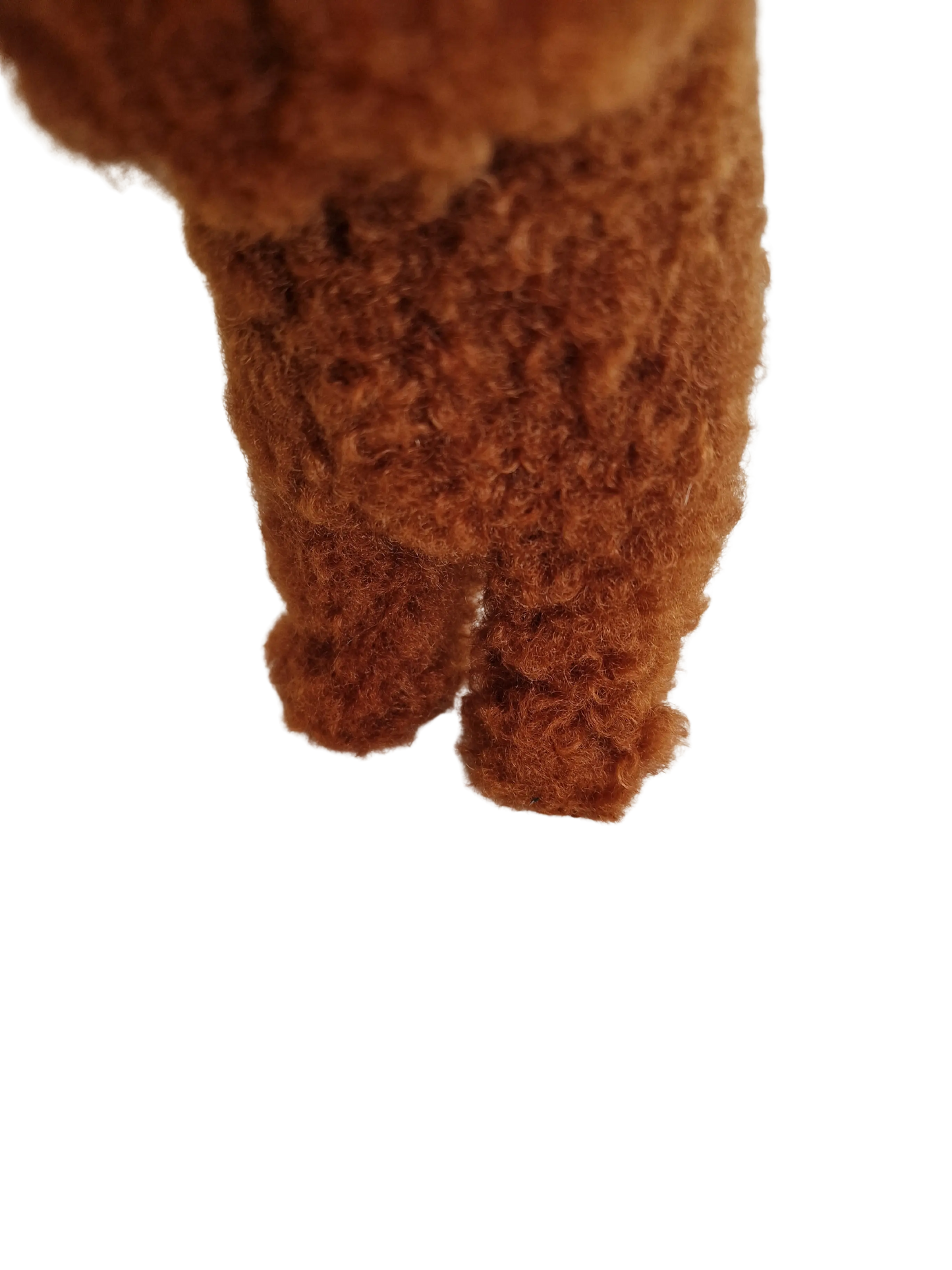 Hündli Pudel – dein kuscheliger Freund