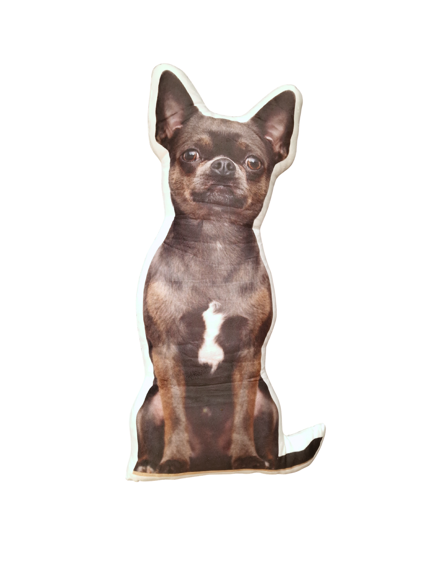 Hündli Fotokissen (40 cm) – dein Hund immer bei dir