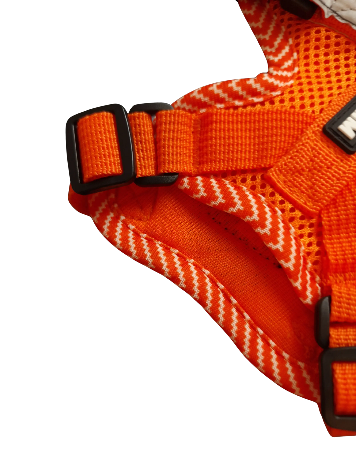 Hundegeschirr mit passender Leine – verstellbar & bequem