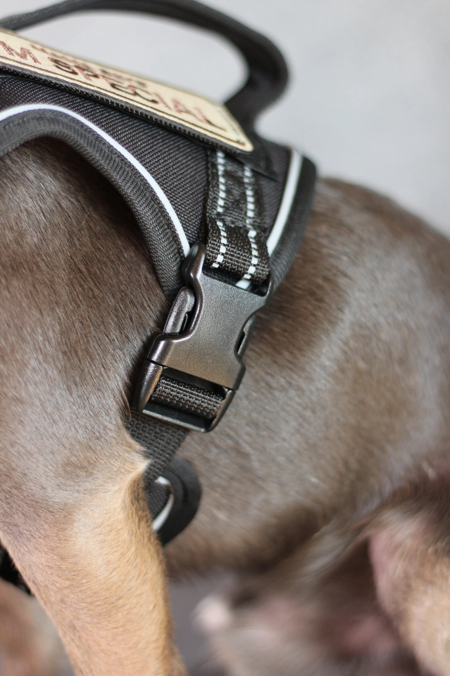 Hundegeschirr mit Griff und Klettaufnähern