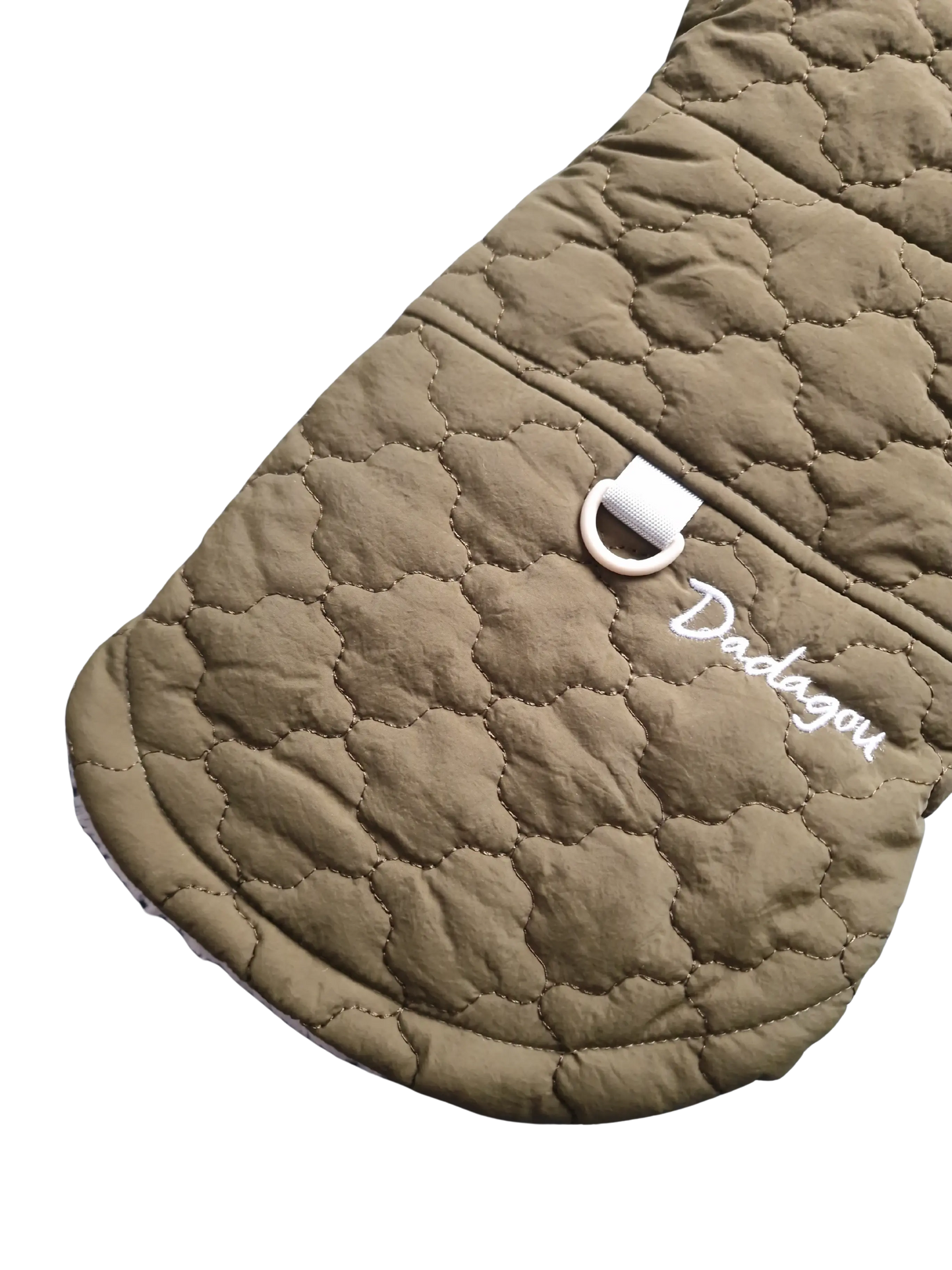 Hundejacken – Schutz und Komfort an kalten Herbsttagen