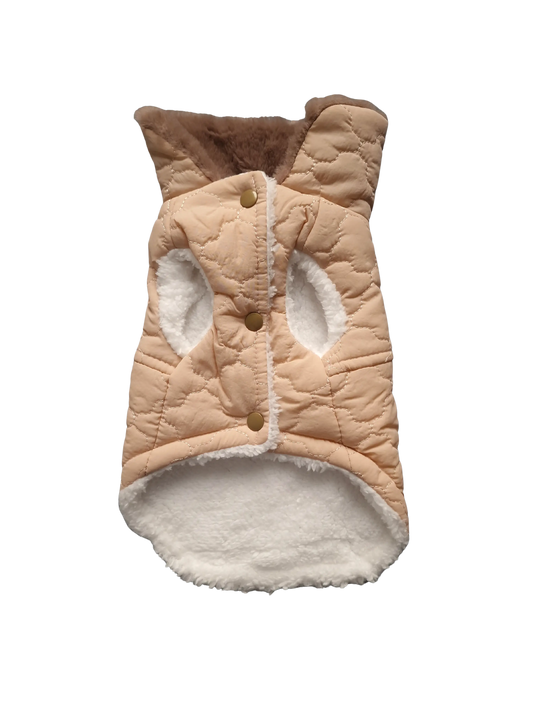 Hundejacken – Schutz und Komfort an kalten Herbsttagen