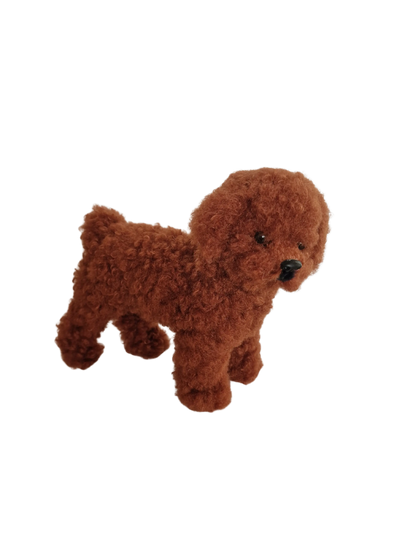 Hündli Pudel – dein kuscheliger Freund