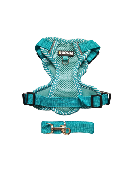 Hundegeschirr mit passender Leine – verstellbar & bequem