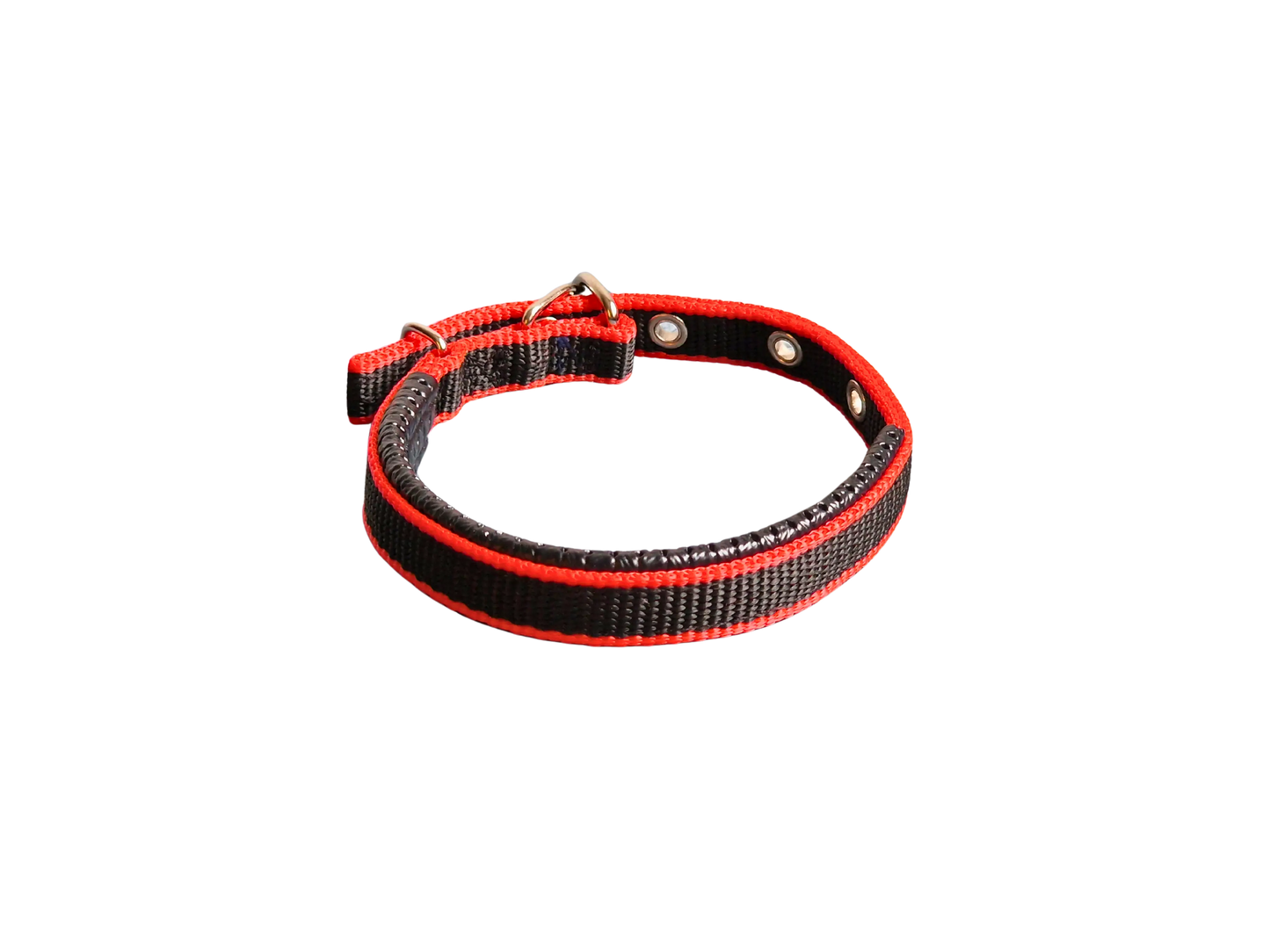 Hündli Halsband – gepolstertes Nylon
