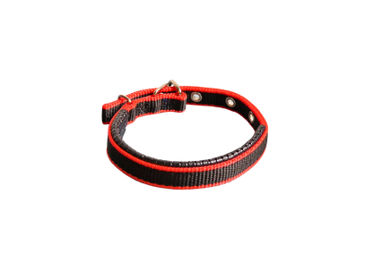 Hündli Halsband – gepolstertes Nylon