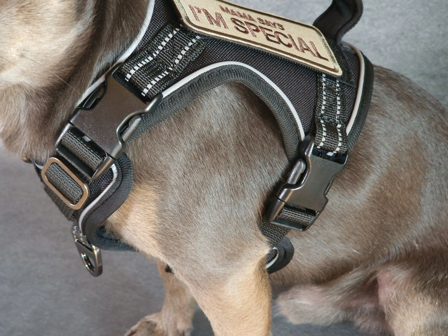 Hundegeschirr mit Griff und Klettaufnähern