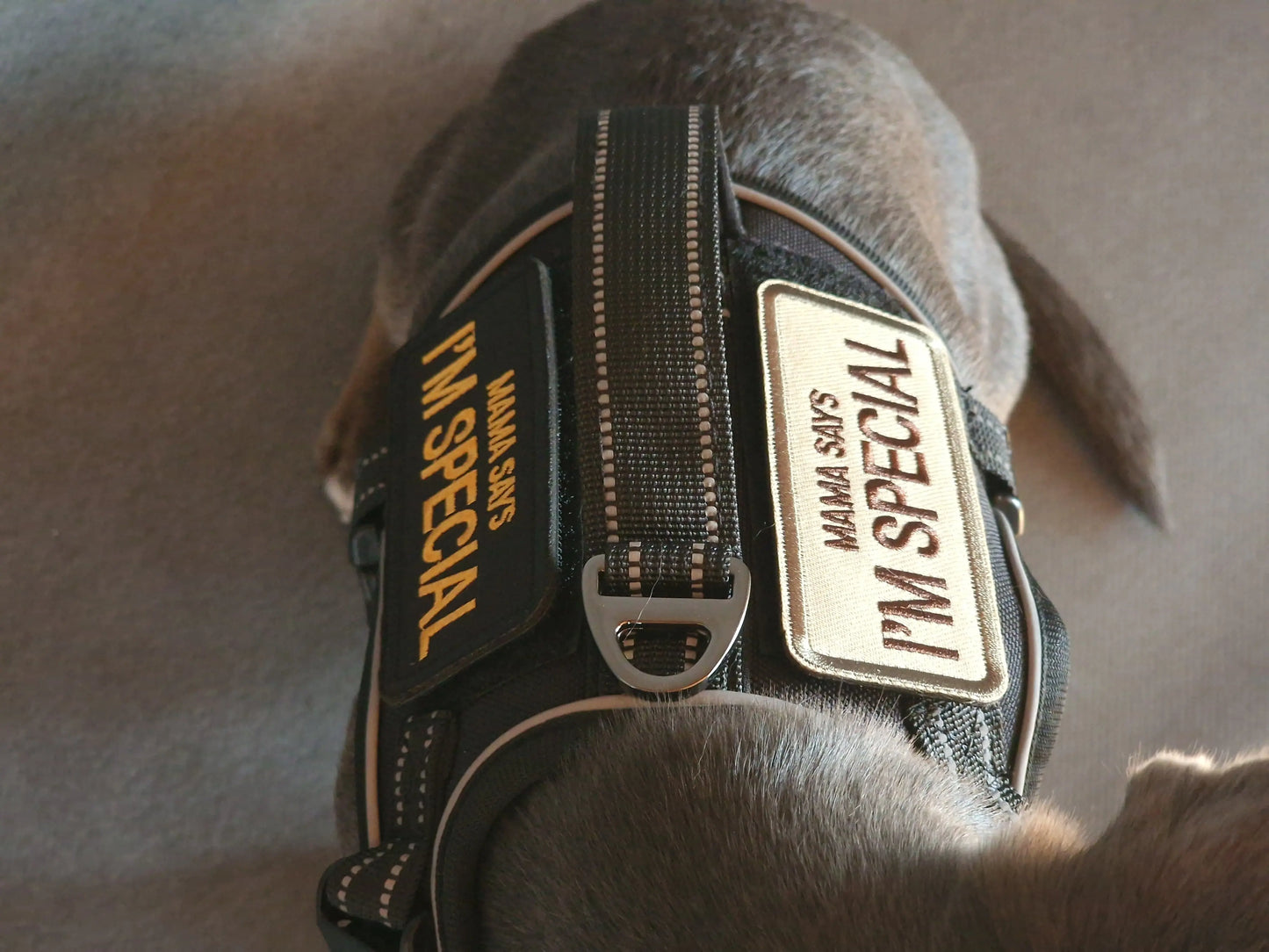 Hundegeschirr mit Griff und Klettaufnähern