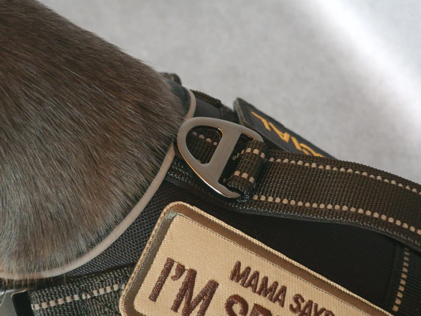 Hundegeschirr mit Griff und Klettaufnähern