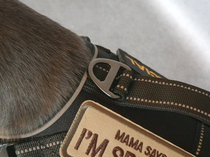 Hundegeschirr mit Griff und Klettaufnähern