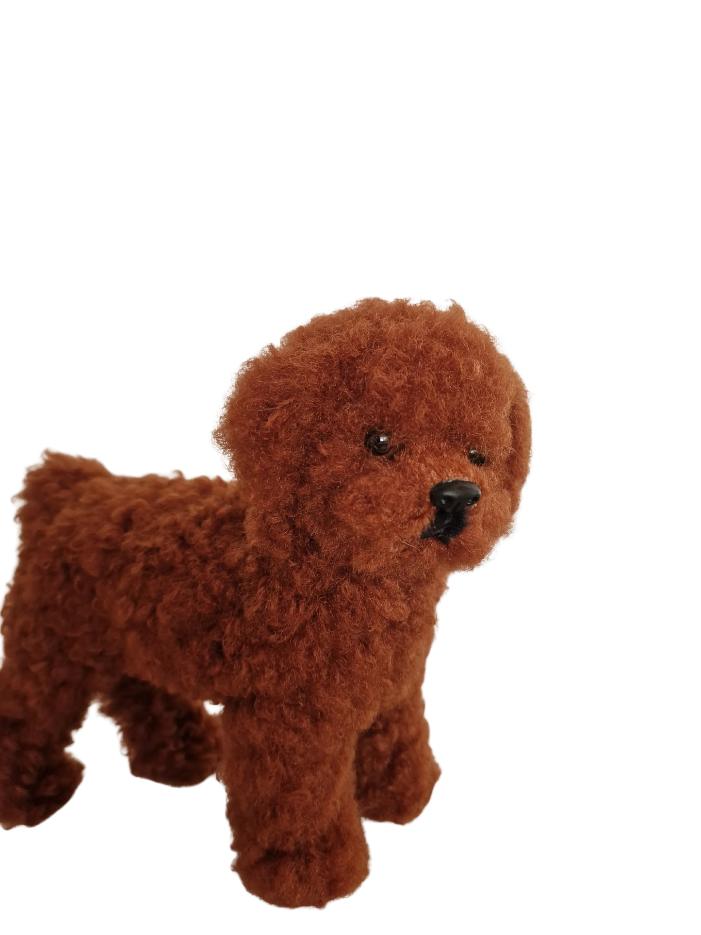 Hündli Pudel – dein kuscheliger Freund