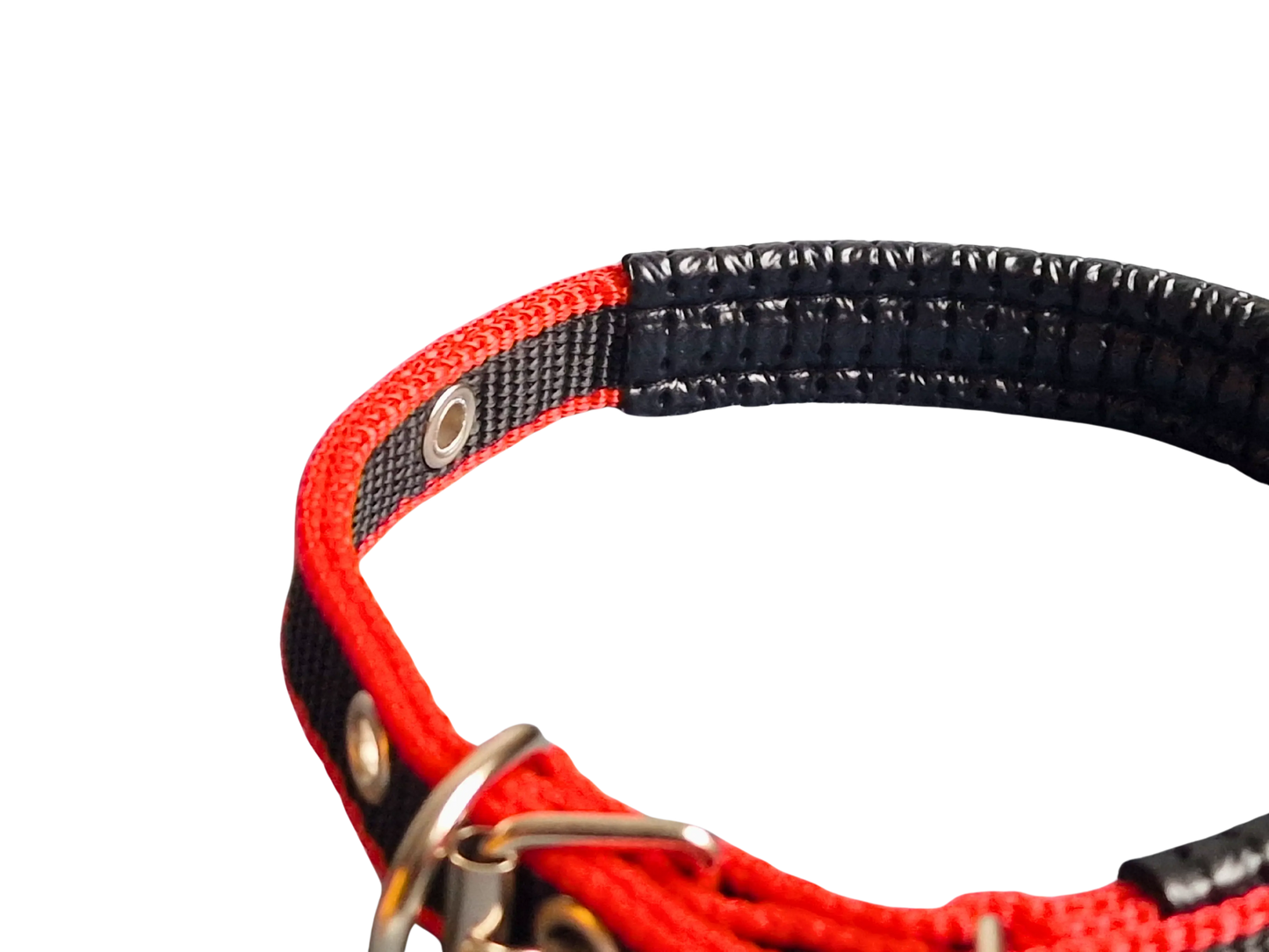 Hündli Halsband – gepolstertes Nylon