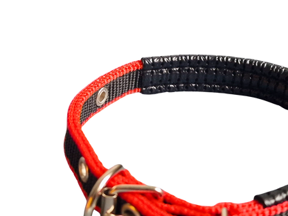 Hündli Halsband – gepolstertes Nylon