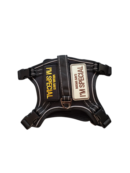 Hundegeschirr mit Griff und Klettaufnähern