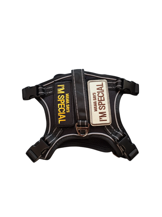 Hundegeschirr mit Griff und Klettaufnähern