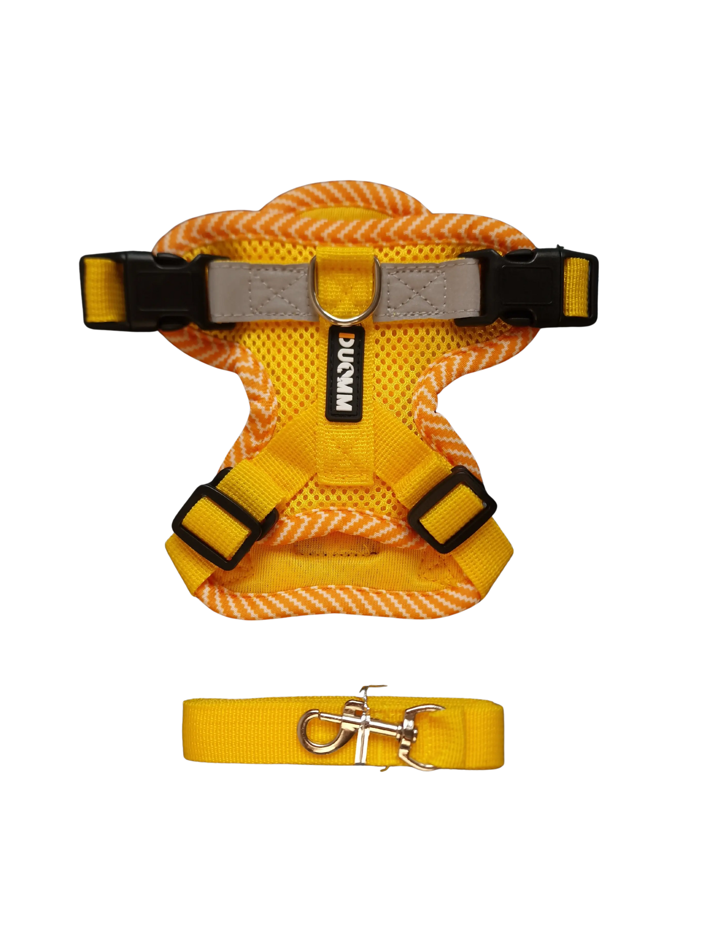 Hundegeschirr mit passender Leine – verstellbar & bequem