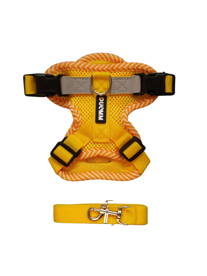 Hundegeschirr mit passender Leine – verstellbar & bequem