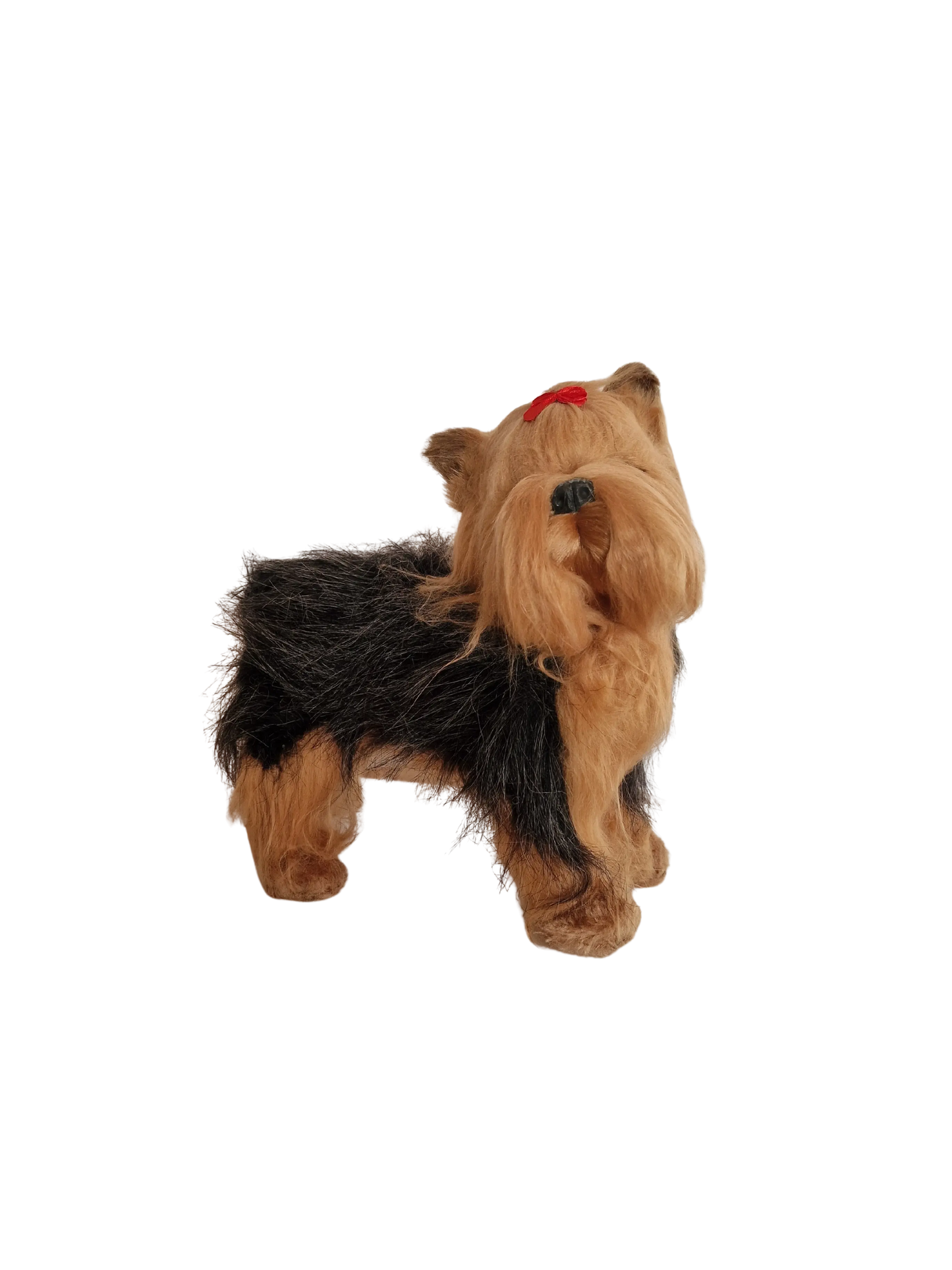 Hündli Yorkshire Terrier – dein süßer Begleiter