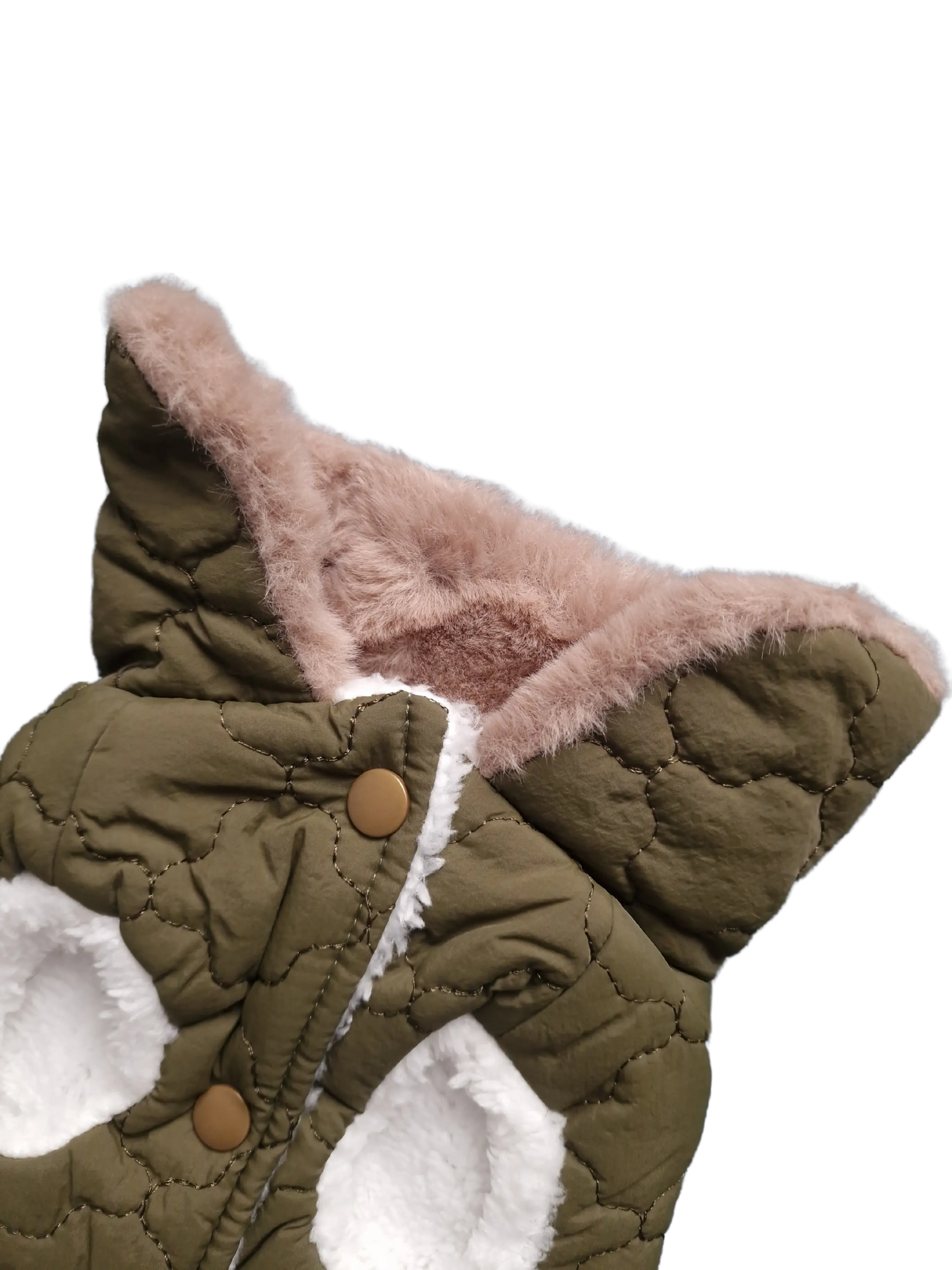 Hundejacken – Schutz und Komfort an kalten Herbsttagen