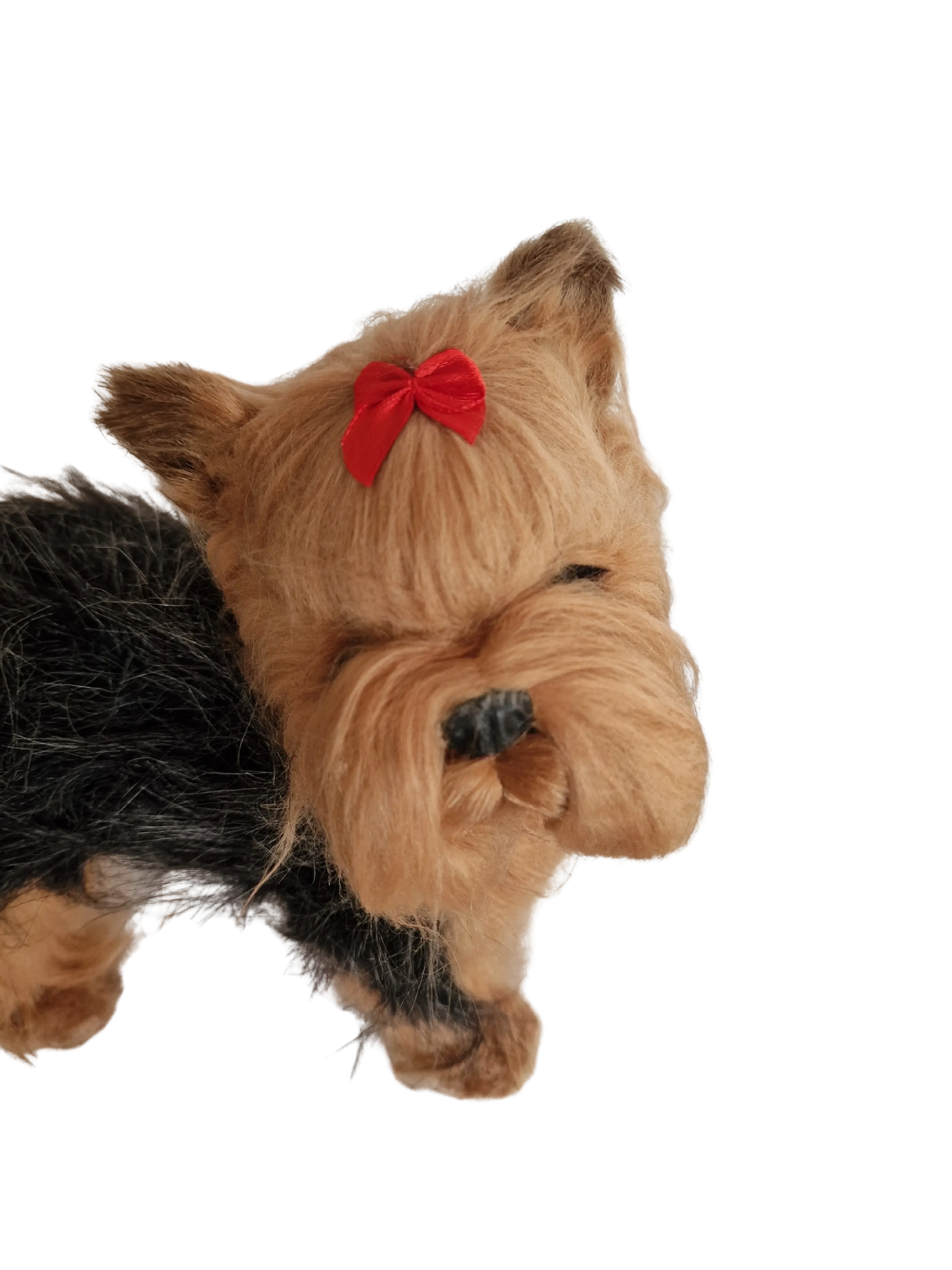 Hündli Yorkshire Terrier – dein süßer Begleiter