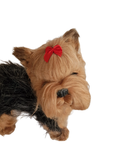 Hündli Yorkshire Terrier – dein süßer Begleiter