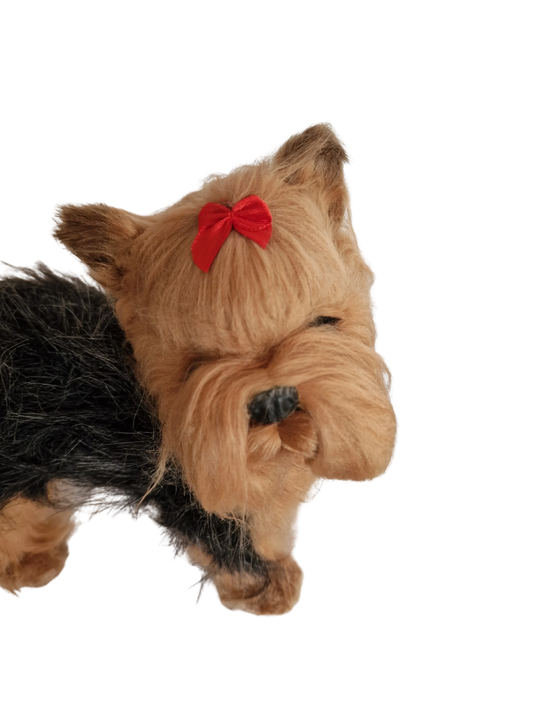 Hündli Yorkshire Terrier – dein süßer Begleiter