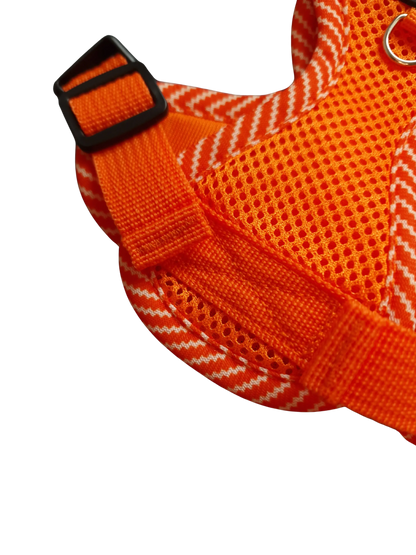 Hundegeschirr mit passender Leine – verstellbar & bequem