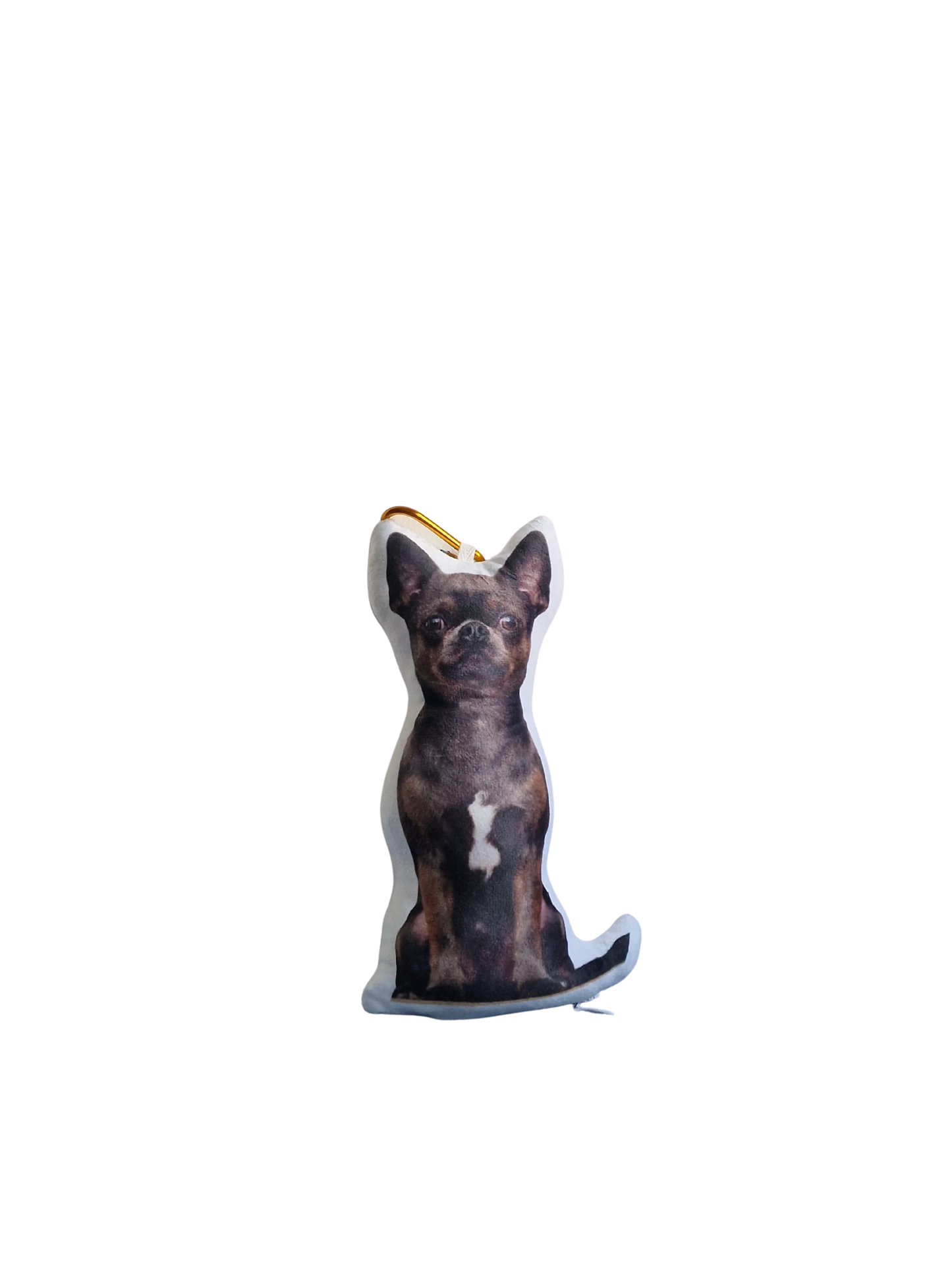 Hündli Mini-Fotokissen mit Karabiner 20cm