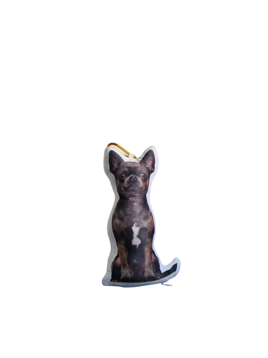 Hündli Mini-Fotokissen mit Karabiner 20cm