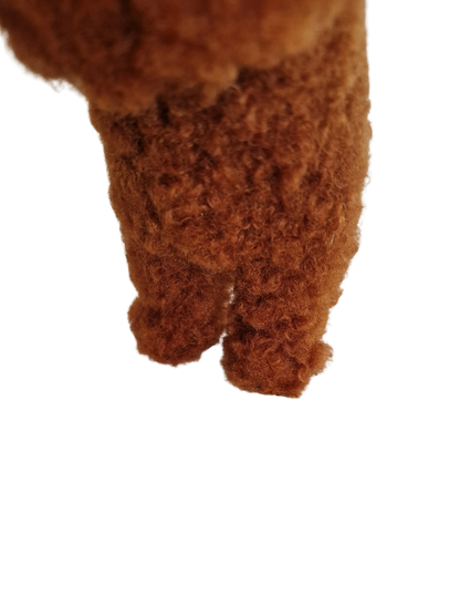 Hündli Pudel – dein kuscheliger Freund