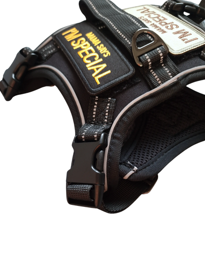 Hundegeschirr mit Griff und Klettaufnähern