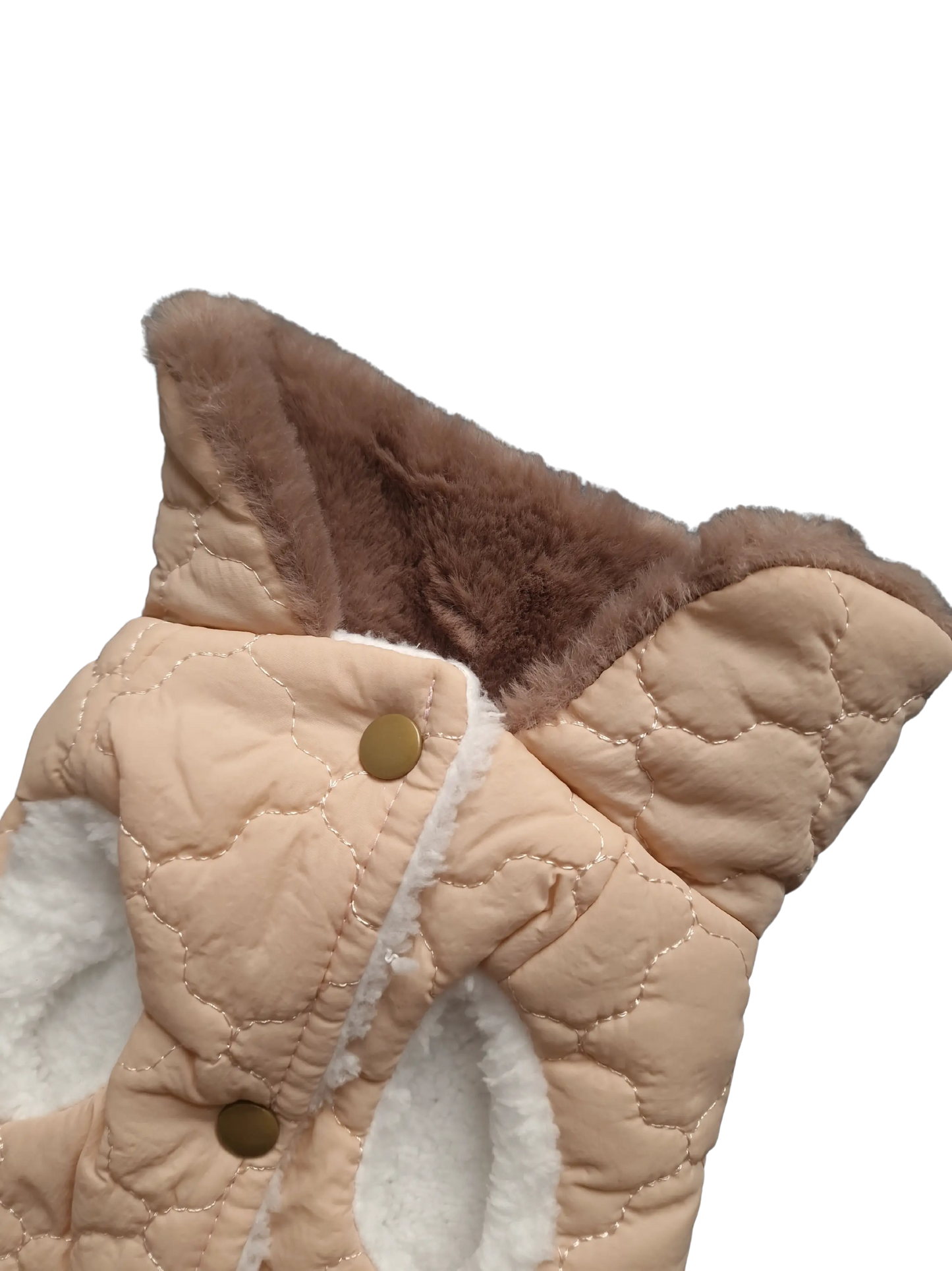 Hundejacken – Schutz und Komfort an kalten Herbsttagen