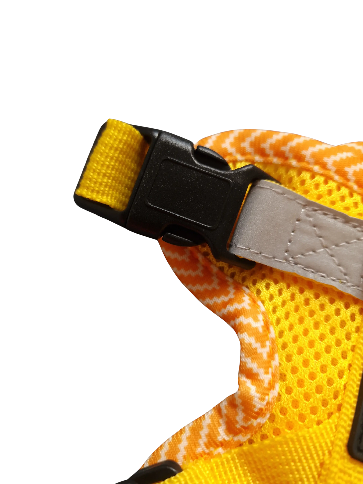 Hundegeschirr mit passender Leine – verstellbar & bequem