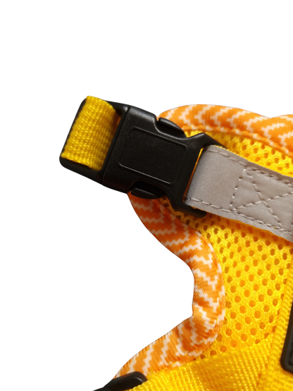 Hundegeschirr mit passender Leine – verstellbar & bequem