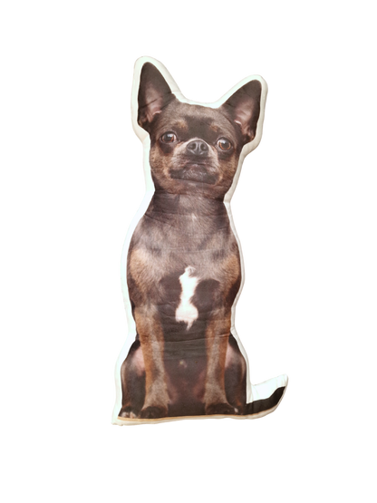 Hündli Fotokissen (40 cm) – dein Hund immer bei dir