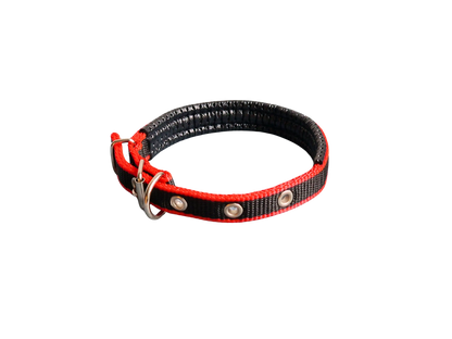Hündli Halsband – gepolstertes Nylon
