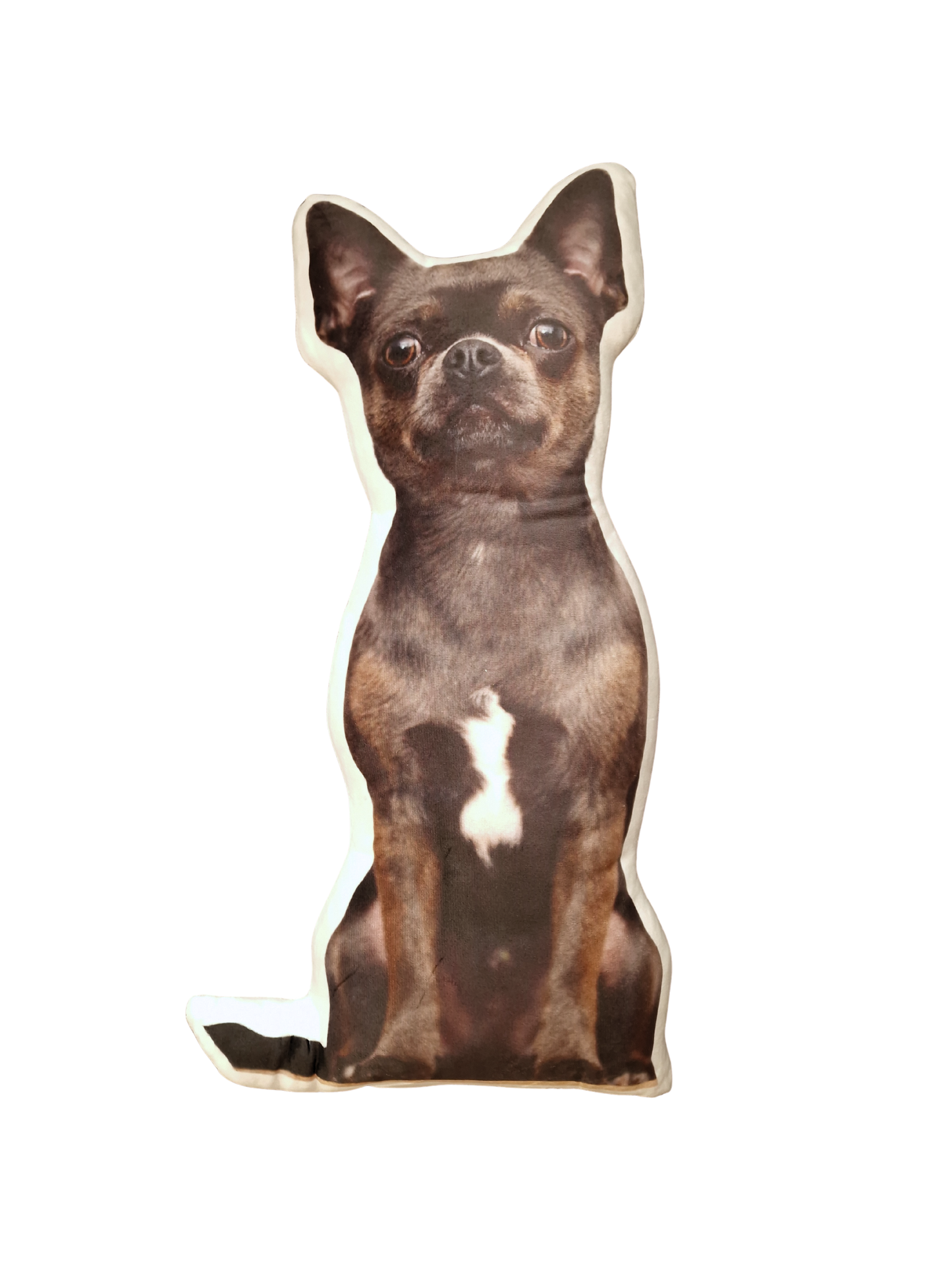 Hündli Fotokissen (40 cm) – dein Hund immer bei dir