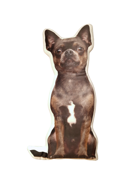 Hündli Fotokissen (40 cm) – dein Hund immer bei dir