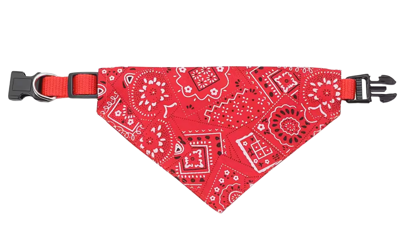 Halsband mit Halstuch für Hunde – verstellbar