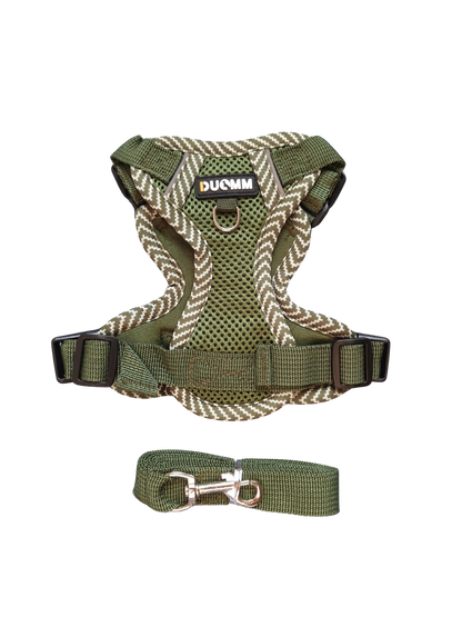 Hundegeschirr mit passender Leine – verstellbar & bequem