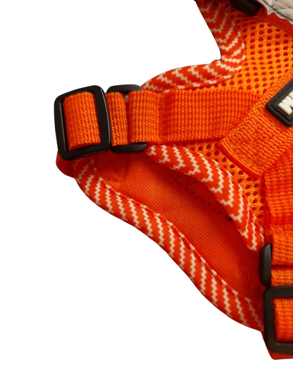 Hundegeschirr mit passender Leine – verstellbar & bequem