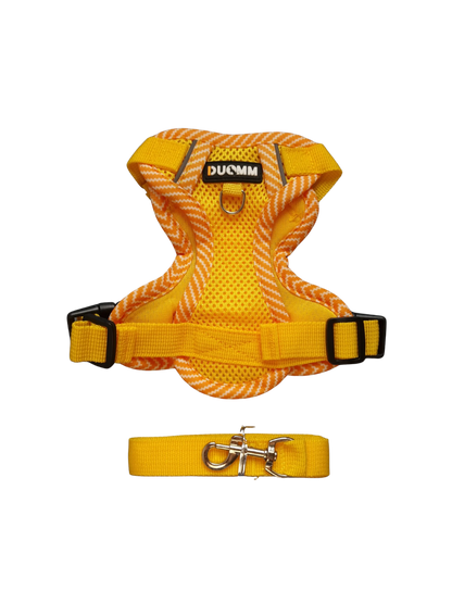 Hundegeschirr mit passender Leine – verstellbar & bequem