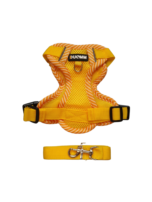 Hundegeschirr mit passender Leine – verstellbar & bequem