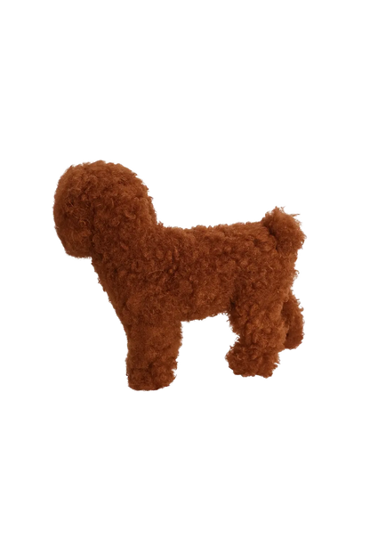 Hündli Pudel – dein kuscheliger Freund