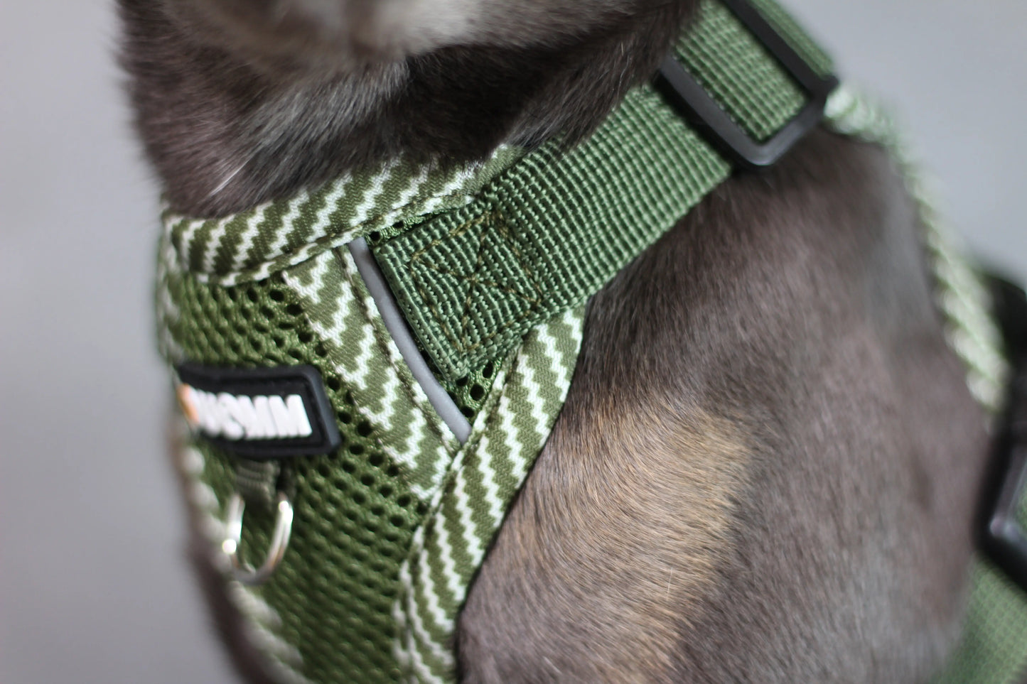 Hundegeschirr mit passender Leine – verstellbar & bequem