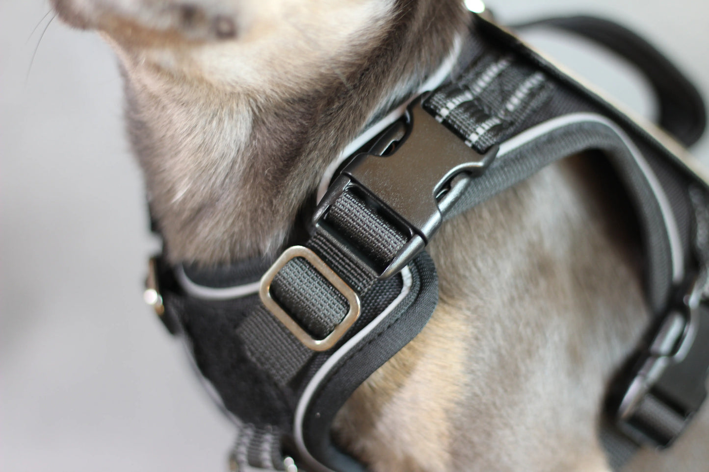 Hundegeschirr mit Griff und Klettaufnähern