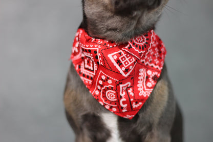 Halsband mit Halstuch für Hunde – verstellbar